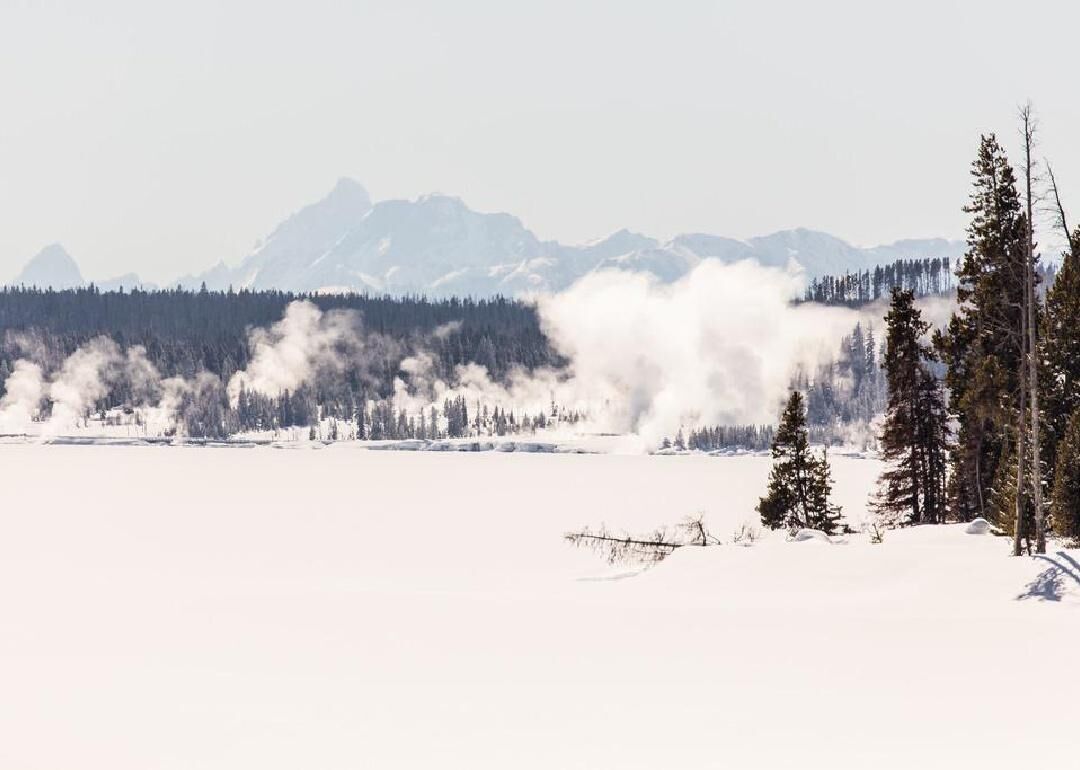 Montana